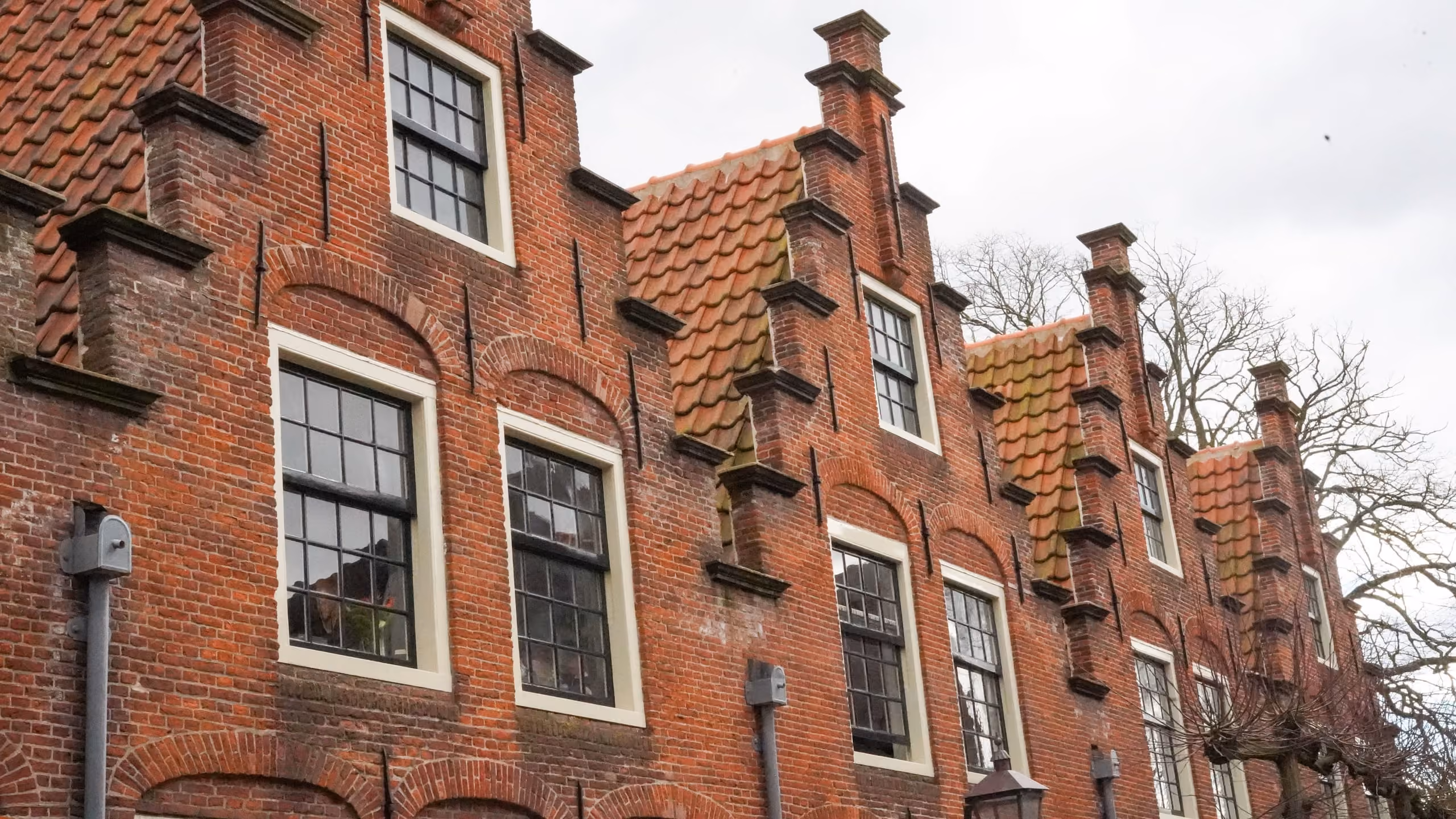 Rij trapgevels langs de straat in Haarlem